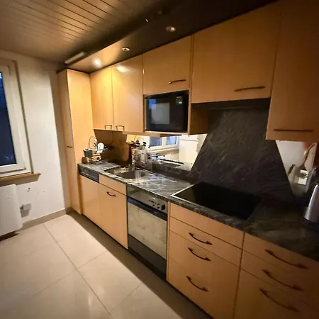 Private In Villa, 2 Minutes From Station, In The Longterm Contract Chf 1100 Per Month