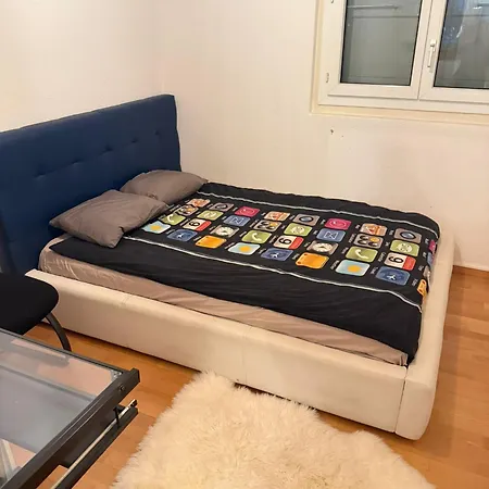 Private In Villa, 2 Minutes From Station, In The Longterm Contract Chf 1100 Per Month * Bolligen