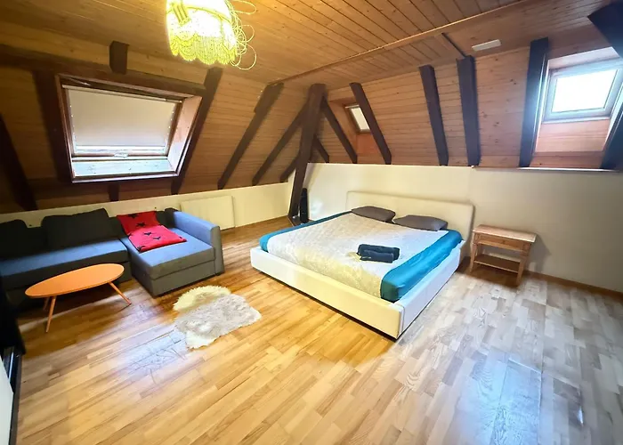 Private In Villa, 2 Minutes From Station, In The Longterm Contract Chf 1100 Per Month Bolligen