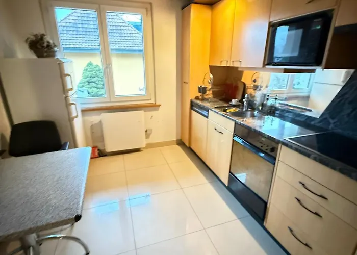 Private In Villa, 2 Minutes From Station, In The Longterm Contract Chf 1100 Per Month 招待所 Bolligen