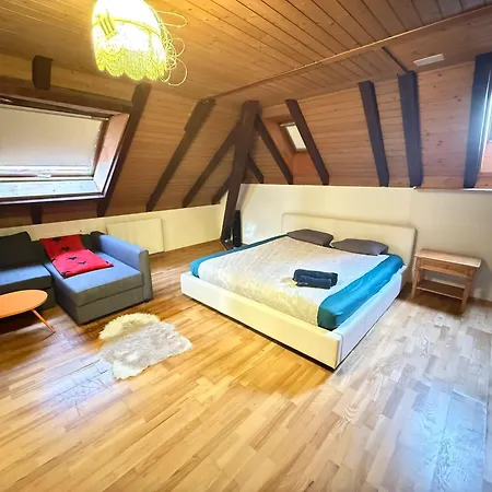 Private In Villa, 2 Minutes From Station, In The Longterm Contract Chf 1100 Per Month Bolligen