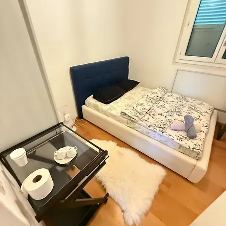 Private In Villa, 2 Minutes From Station, In The Longterm Contract Chf 1100 Per Month Bolligen