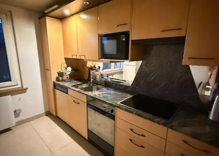 Private In Villa, 2 Minutes From Station, In The Longterm Contract Chf 1100 Per Month